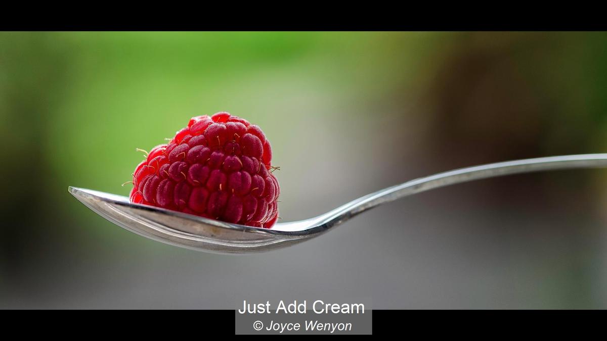 06_Just Add Cream_Joyce Wenyon